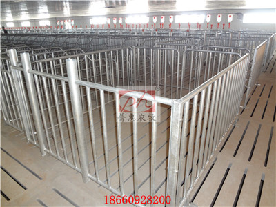 Pig breeding equipment -- cold proof and temperature increasing technology in Piggery