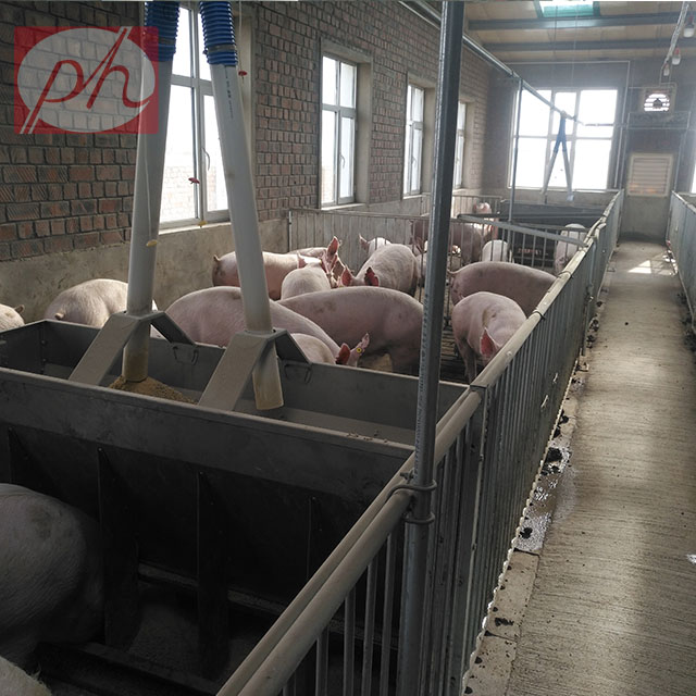 Reasonable design of pig raising equipment and improvement of economic benefits