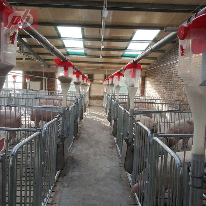 How to choose the right equipment to keep piglets from being crushed to death