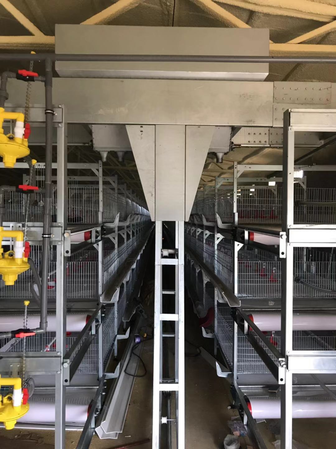 Several points for attention in the disinfection of layers of poultry equipment