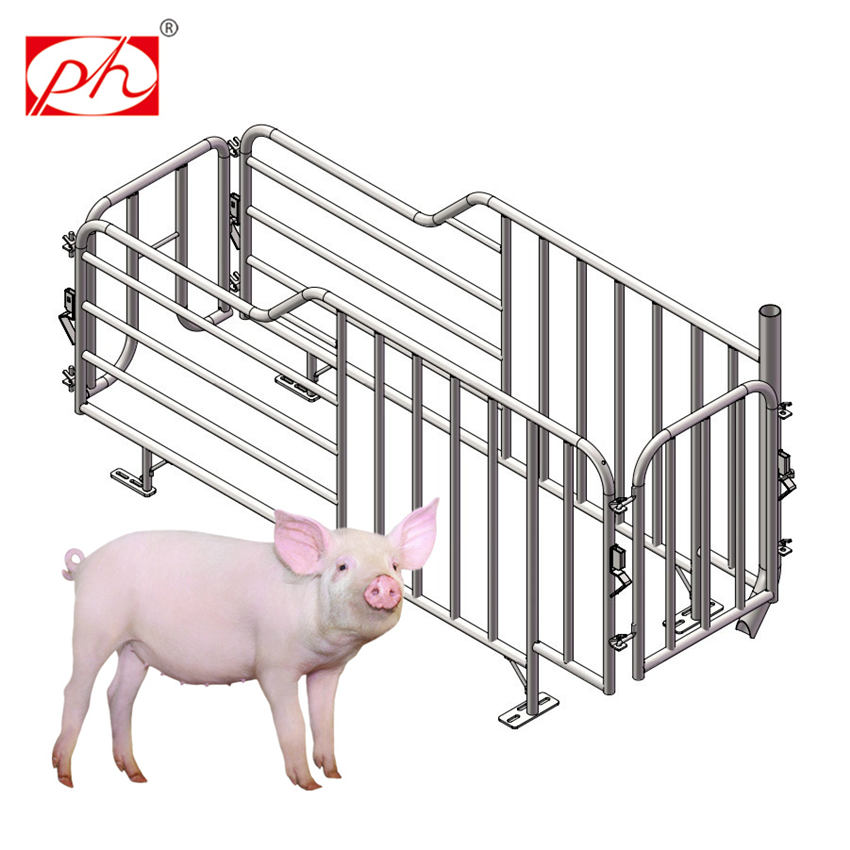 Sow crate design galvanized gestation stall box