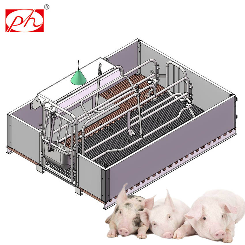 Sow farrowing crates for pigs farming equipment