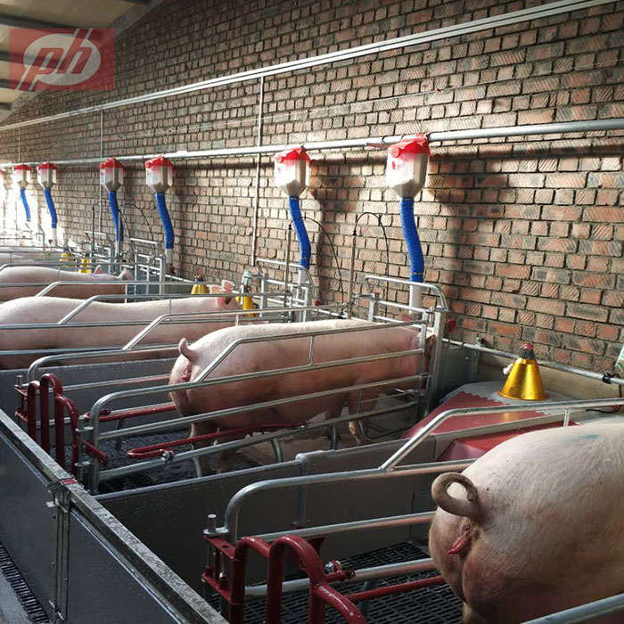 Pig equipment - pig farrowing crates