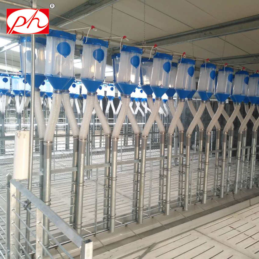 Plastic trough pig automatic feeders for sow