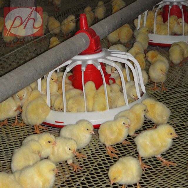 Chicken pan for automatic chicken farm