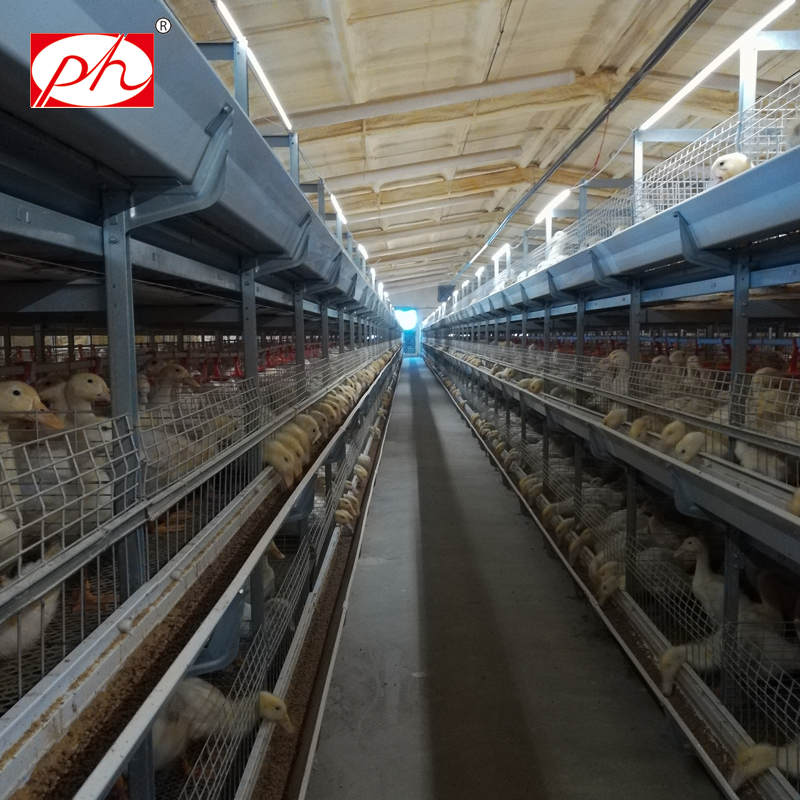 Battery cage