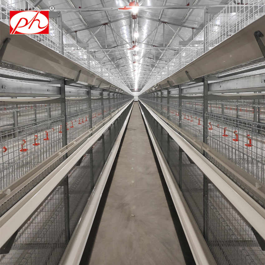 Automatic galvanized battery chicken cages for sale