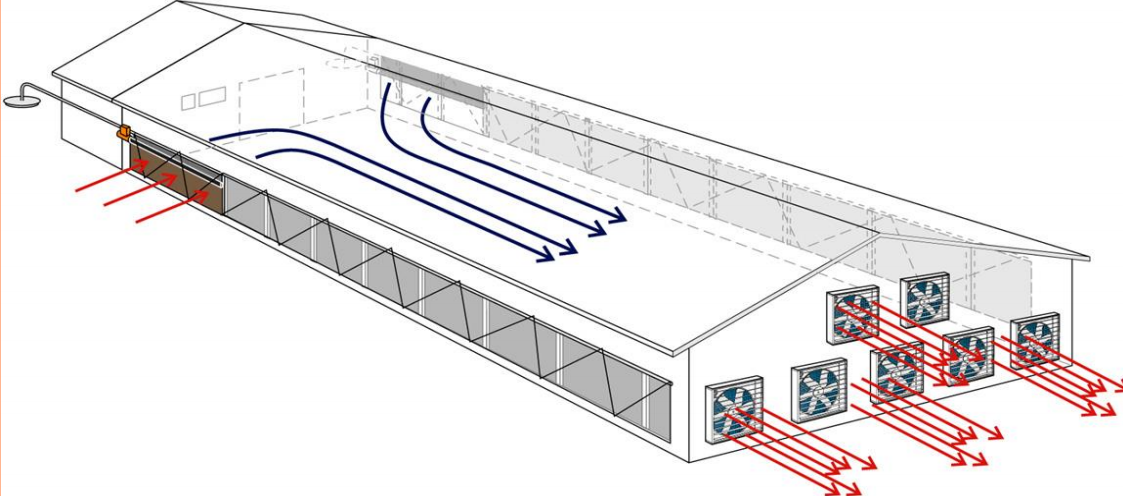 Ventilation system for pig farm