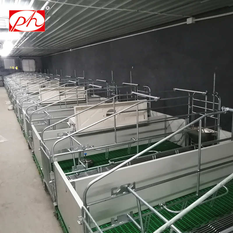 Hot dip galvanized round steel farrowing crates